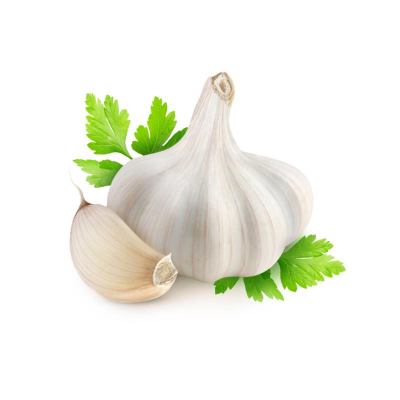 Garlic-Lahsun